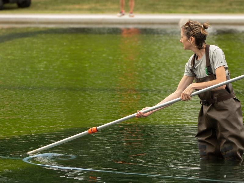 The "American flag blue" pool has turned a murky algae-stained green.