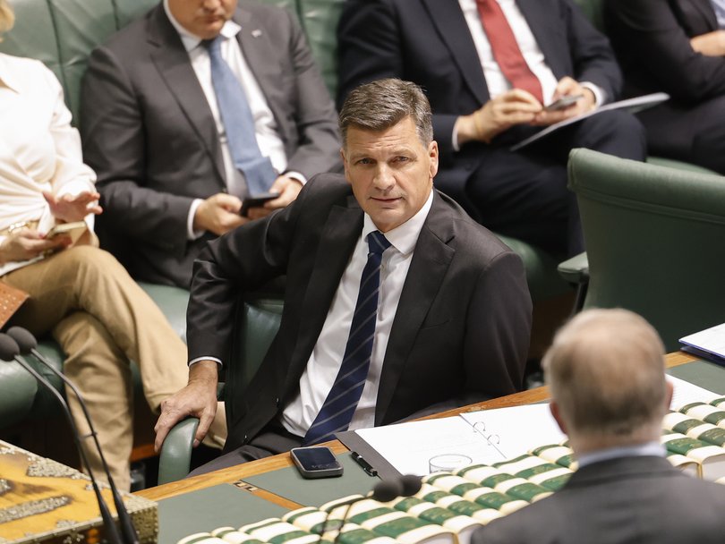 Leader of the Opposition Angus Taylor will be hoping to take advantage of Anthony Albanese’s absence.