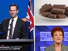 Not Supplied