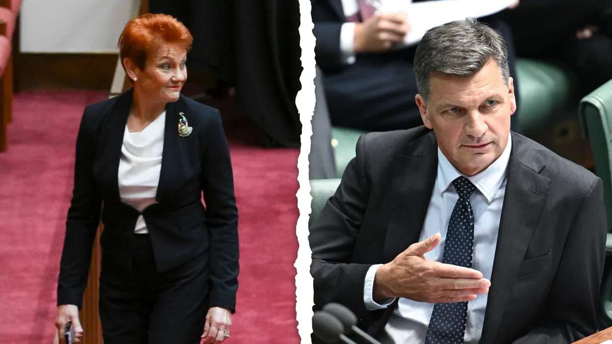 ‘One person show’: Angus Taylor criticises Pauline Hanson, One Nation as party ‘without direction’ ‘One person show’: Angus Taylor criticises Pauline Hanson, One Nation as party ‘without direction’