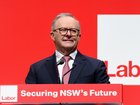 Anthony Albanese says Australia's right-wing parties are competing in a "race to the bottom". (Steven Markham/AAP PHOTOS)