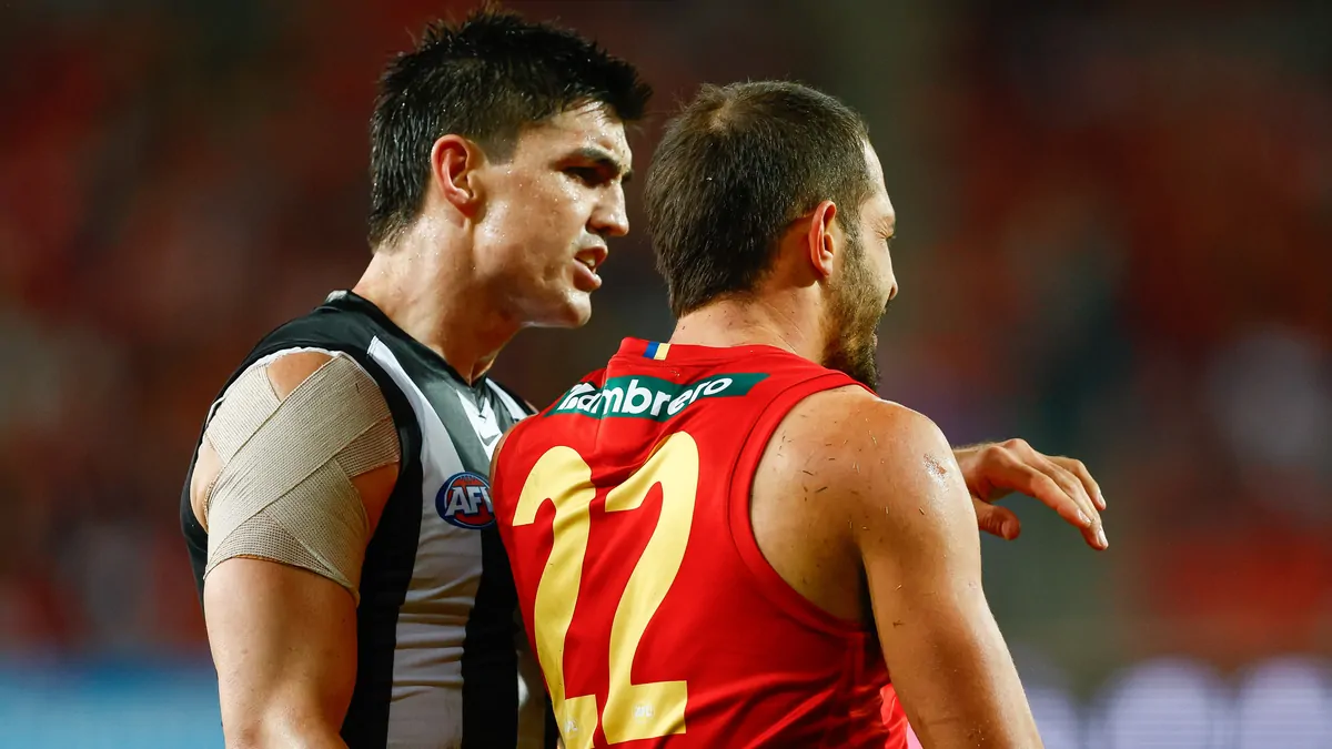 Collingwood defender Brayden Maynard learns fate for umpire push against Gold Coast Collingwood defender Brayden Maynard learns fate for umpire push against Gold Coast