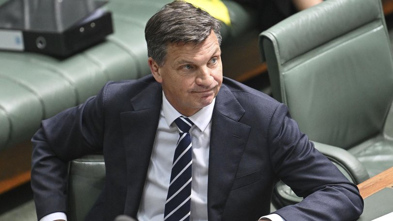 Opposition Leader Angus Taylor says AI must not ‘control us’. 