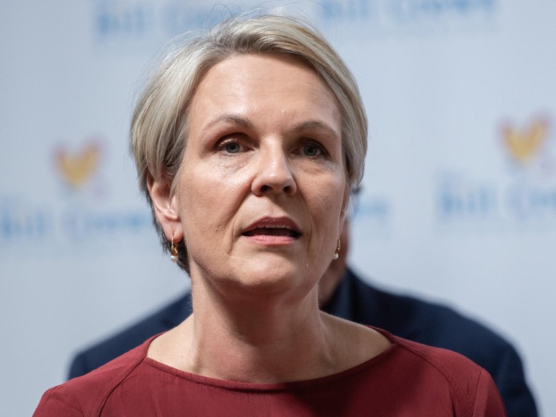 Tanya Plibersek batted away the comments on Sunrise, but was far more critical of similar comments made by Tony Abbott.