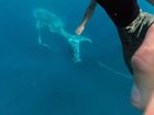 Even though the whale appeared to be moving slowly, the pair said it was tricky to keep up with. Instagram