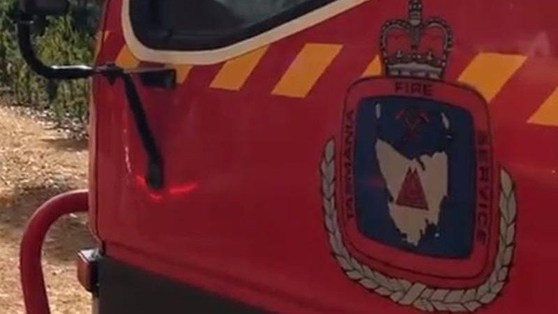 A Tasmanian firefighter has been suspended after the alleged discovery of bestiality material on a storage device.