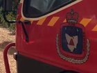 A Tasmanian firefighter has been suspended after the alleged discovery of bestiality material on a storage device.