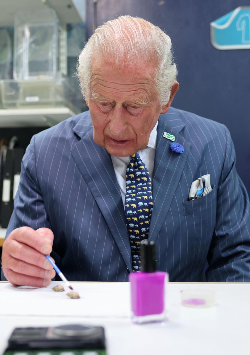 “So this is special snail varnish is it?”