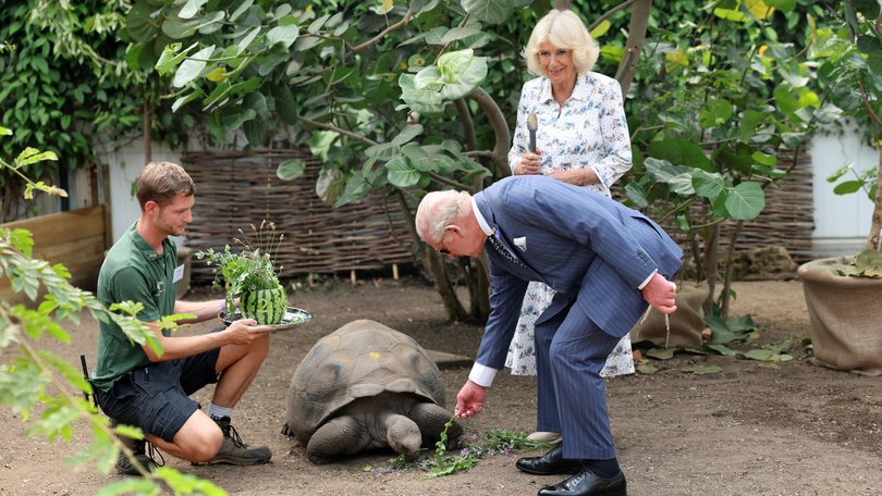 King Charles and Queen Camilla with ‘Polly’ a 32-year-old Galapagos tortoise.