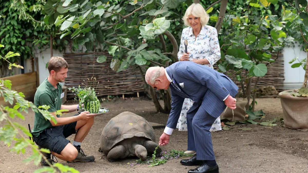 King Charles gives ‘well behaved’ penguin a health check and feeds a tortoise at zoo during London heatwave