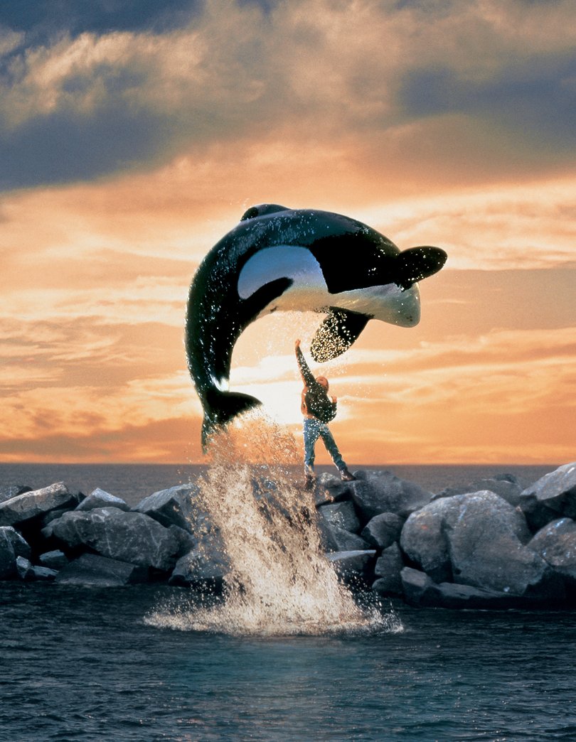 The 1993 film Free Willy.