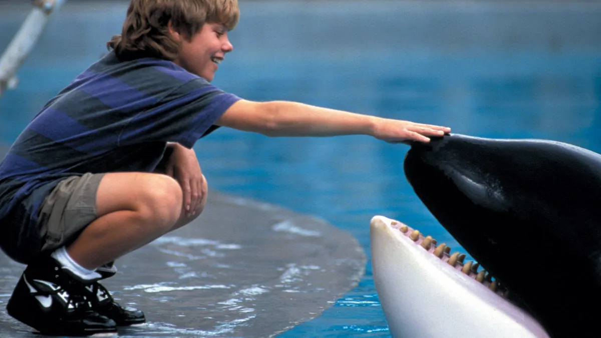Free Willy: The 1993 family favourite is being rebooted, but how do you even remake this movie now? Free Willy: The 1993 family favourite is being rebooted, but how do you even remake this movie now?