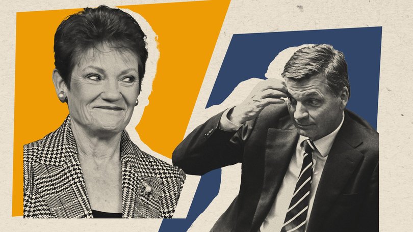 Opposition leader Angus Taylor recovered from a poorly received speech at Canberra’s mid-winter ball by launching an aggressive attack on One Nation’s policies and ability to govern.