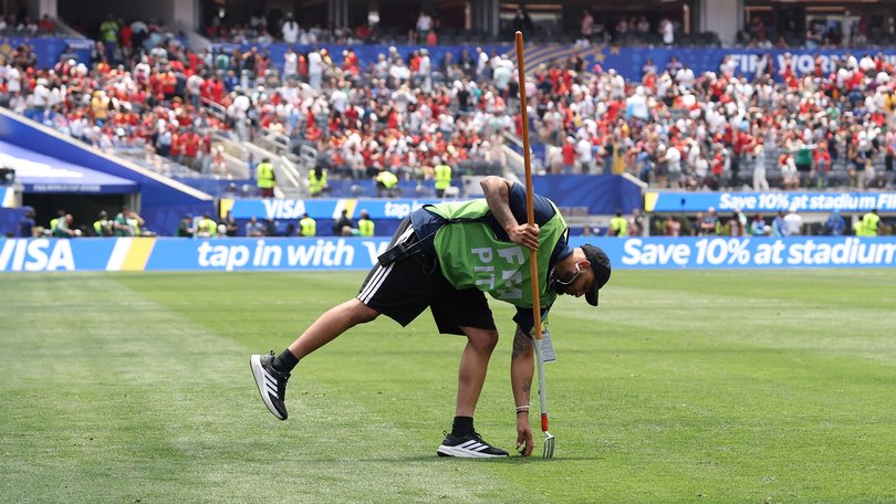 FIFA is putting blades of grass up for sale.
