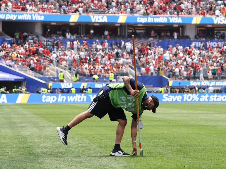 FIFA is putting blades of grass up for sale.