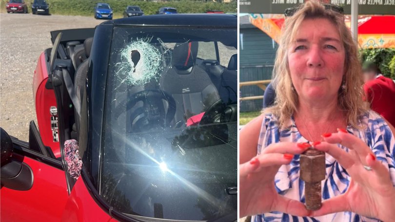 Mother's brush with death after huge bolt hit car.