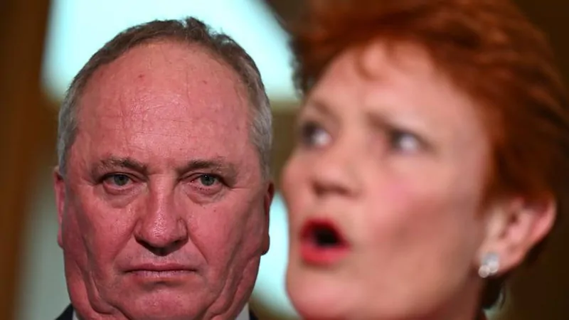 Barnaby Joyce says One Nation lacks resources to independently cost all election policies