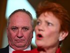 One Nation says it doesn't have adequate resources to independently cost its policies. 