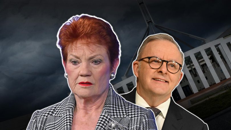 Pauline Hanson's popularity has fallen in a new poll that also showed good news for the PM. 