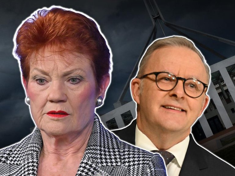 Pauline Hanson's popularity has fallen in a new poll that also showed good news for the PM. 