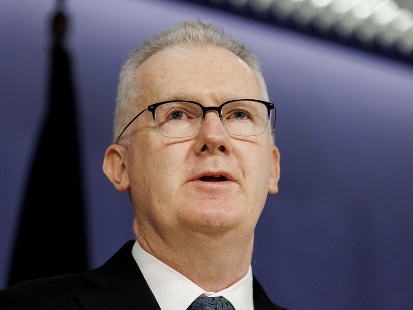 Home Affairs Minister Tony Burke revealed the ISIS-linked woman had received a travel permit this week. Picture: NewsWire / Nikki Short