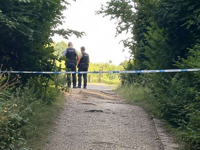 Police have launched a murder probe after a body was discovered in a suitcase at a park, close to where a children’s teddy bear hunt event had been taking place.