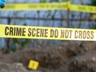 A pathologist has been arrested after the bodies of more than 30 babies were found on a property by construction workers who were conducting earthworks in her former backyard.