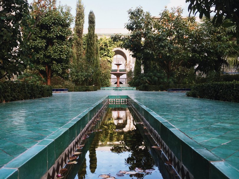 The beautiful Grand Mosque of Paris has an immaculate courtyard.