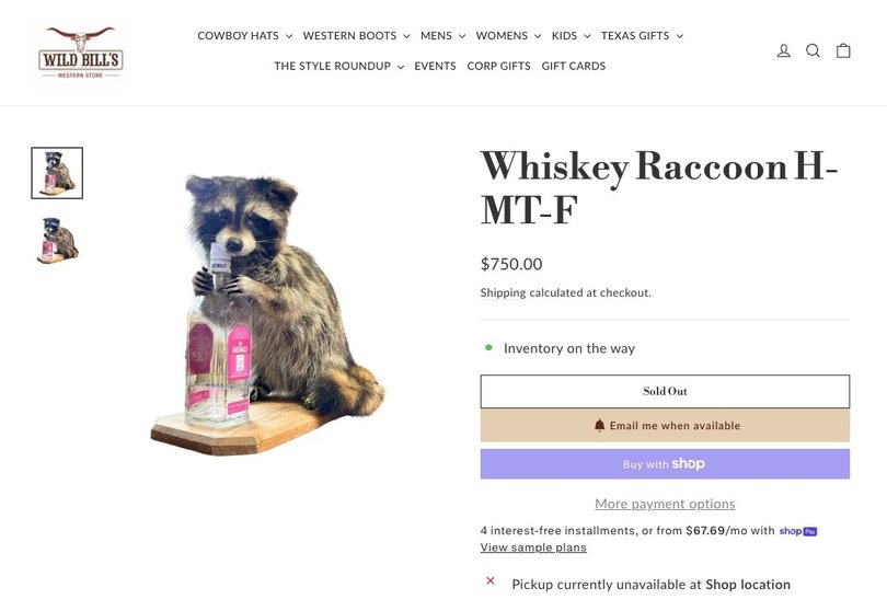 The Norway player bought the taxidermy art from a Dallas store. 