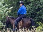 Andrew Mountbatten-Windsor has been seen horse riding again after spending several months away from the activity following restrictions imposed by royal aides. 