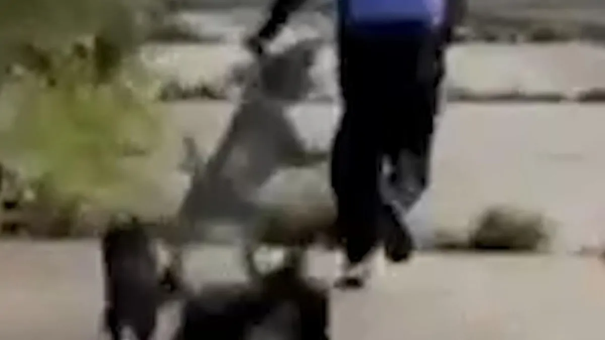 Dogs chase man and save two women in southeast Melbourne from attempted sexual assault Dogs chase man and save two women in southeast Melbourne from attempted sexual assault