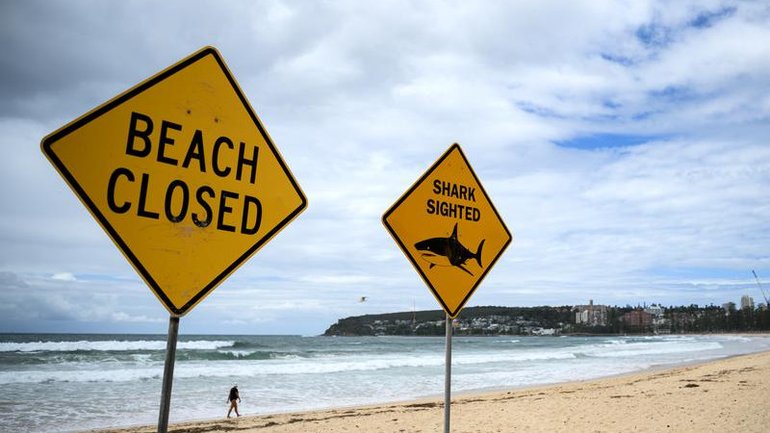 The 31-year-old was diving at a depth of about eight metres when the attack happened.