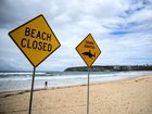 The 31-year-old was diving at a depth of about eight metres when the attack happened.