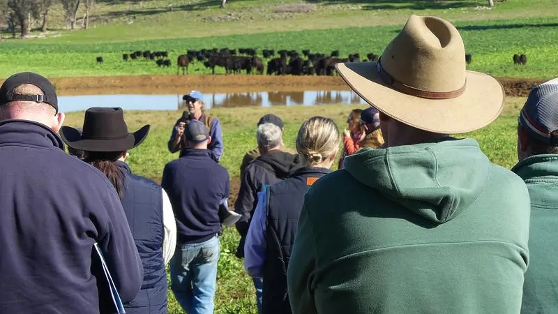 Virtual fencing controlled through app helps Aussie farmers manage their herds Virtual fencing controlled through app helps Aussie farmers manage their herds