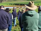 Farmers traditionally moving cattle on horseback is being replaced by managing herds via an app. 