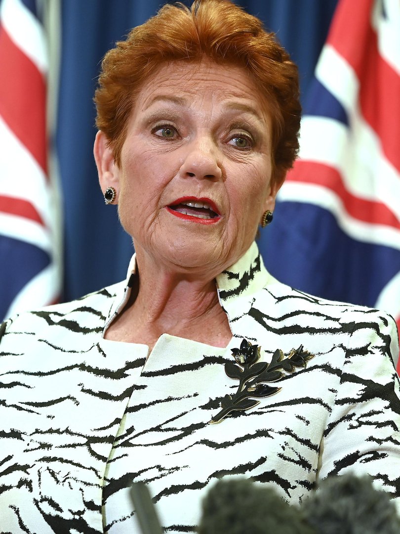 One Nation leader Pauline Hanson says immigrants are ‘destroying’ Australia.