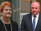 Barnaby Joyce clarifies One Nation immigration stance.