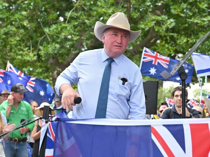 One Nation MP Barnaby Joyce.