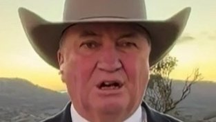 Barnaby Joyce said: “Pauline Hanson does not support the White Australia Policy.” 