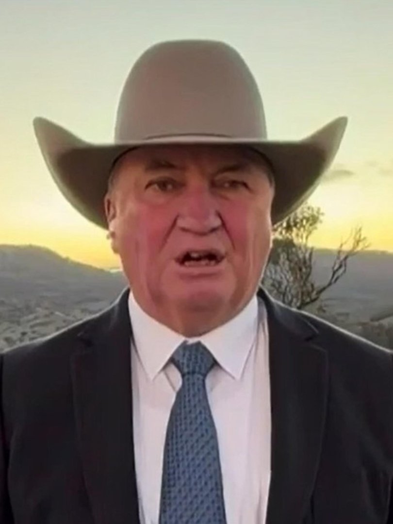 Barnaby Joyce said: “Pauline Hanson does not support the White Australia Policy.”