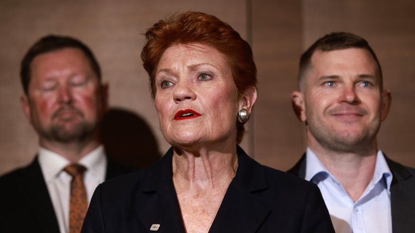 One Nation Leader Pauline Hanson has been blasted for comments she made during a radio interview about domestic violence.