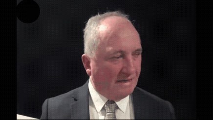 Barnaby Joyce has defended himself after he was criticised for yelling at his dog during a live ABC interview, insisting the pet ‘still loves him’.