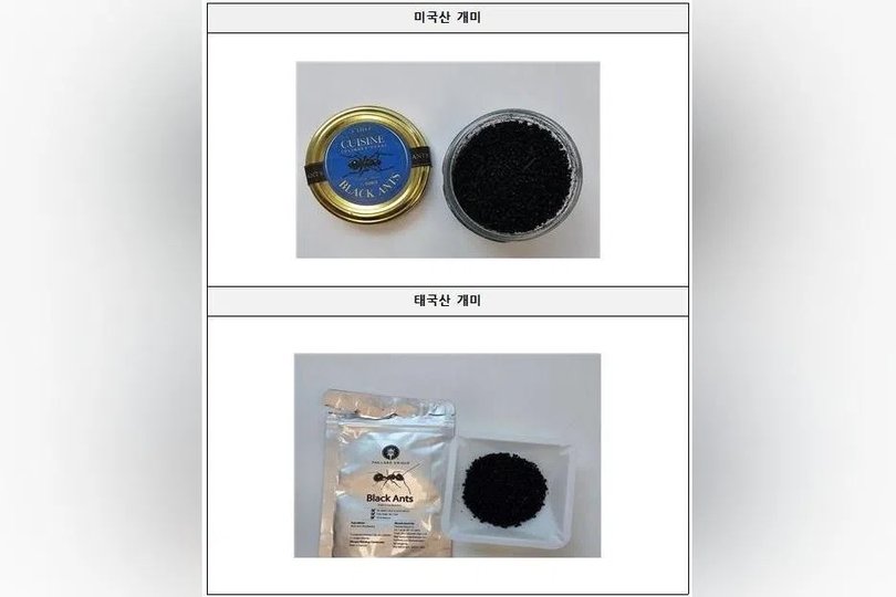 Images in court documents show the dried ants were stored in labelled tins. 