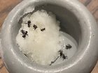 Ants were used to garnish the restaurant’s sorbet. 