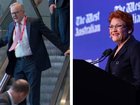 Anthony Albanese suffered a mishap on an Adelaide escalator ahead of his Labor Party conference speech which seemed to focus on the threat of One Nation leader Pauline Hanson.