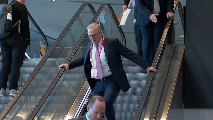 Prime Minister Anthony Albanese stumbles on the escalator at the 50th Australian Labor Party (ALP) national convention at the Adelaide Convention Centre, in Adelaide Picture: 7NEWS