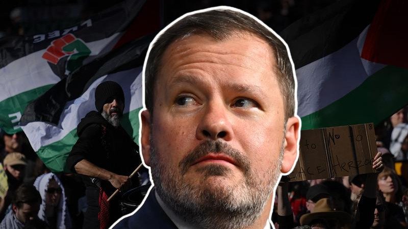 The resolution introduced by Ed Husic also calls on the Albanese Government to begin full diplomatic ties with the State of Palestine.
