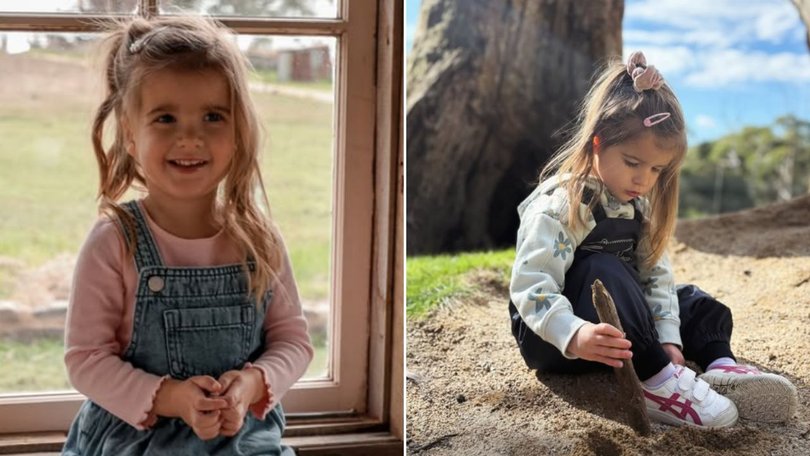 Elsie’s parents want to head to Canada for treatment.