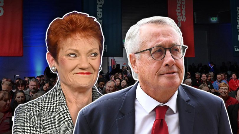 Labor elder Wayne Swan believes One Nation's rise in support is one of the party's greatest threats.