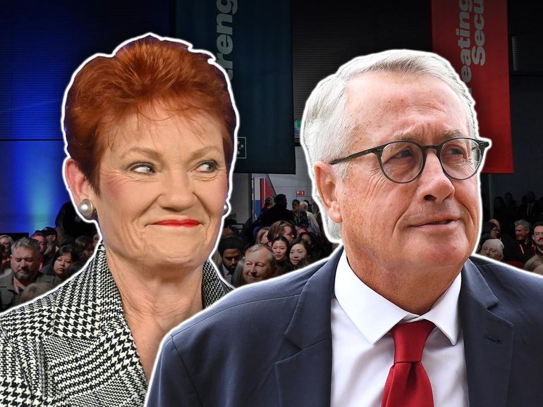 Labor elder Wayne Swan believes One Nation's rise in support is one of the party's greatest threats. 